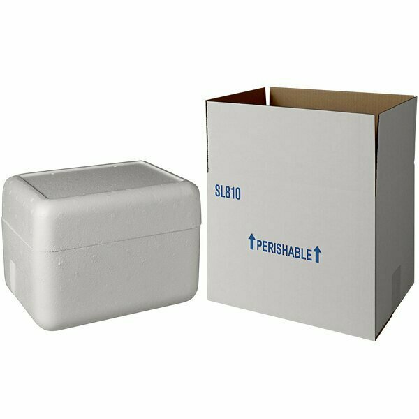 Plastilite Insulated Shipping Box with Foam Cooler 11 3/8'' x 8 3/4'' x 8'' - 1 1/2'' Thick 451SL810CPLT